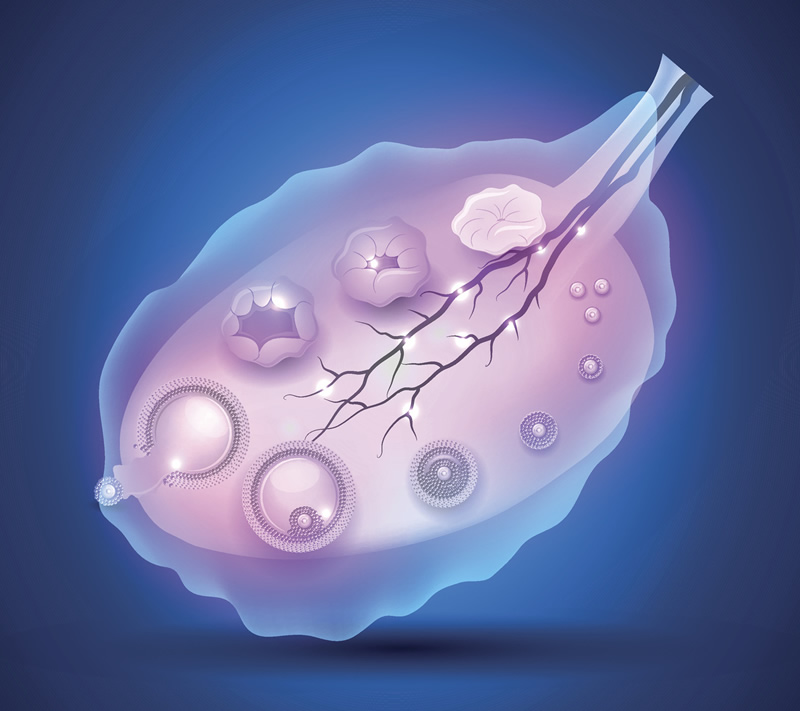 2026年南京试管助孕医院综合盘点：江苏省人民医院、鼓楼医院等三甲机构优势解析，附新费用项目明细参考